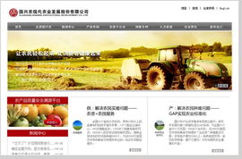 上海乐思设计 探索软件在网页设计中的创新应用